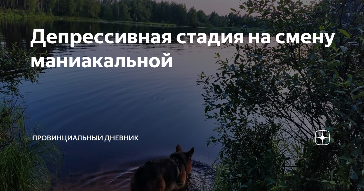 Депрессивная стадия на смену маниакальной | Провинциальный дневник | Дзен