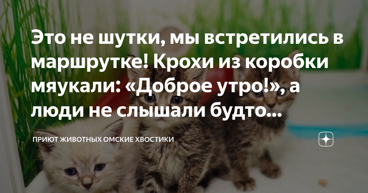 это не шутка мы встретились в маршрутке скачать