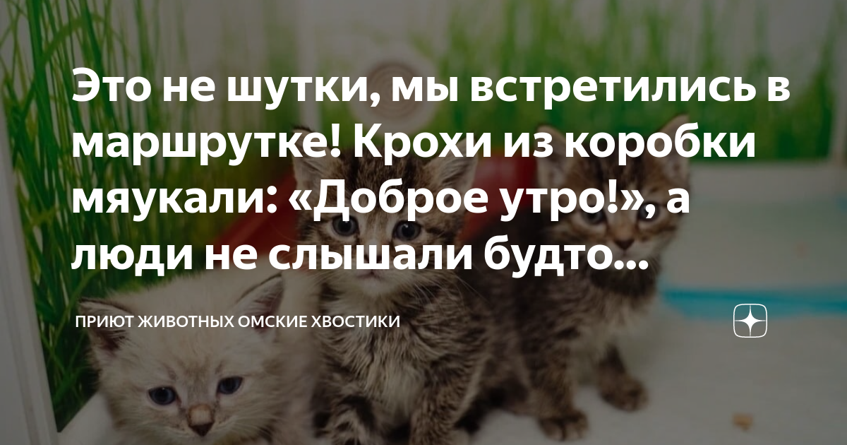 Под столом у нас не мяукали а жалобно пищали три слепых котенка части речи указать