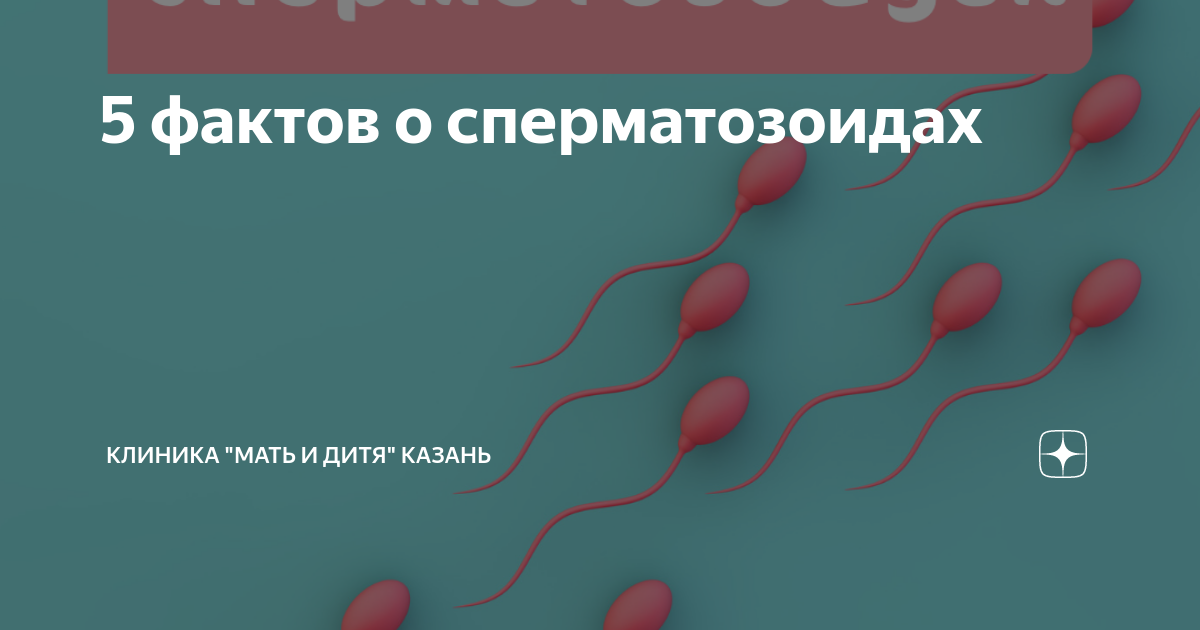 [Mydło] Могут ли сперматозоиды оставаться на руках, вымытых водой с мылом? | Where I Get My Meds