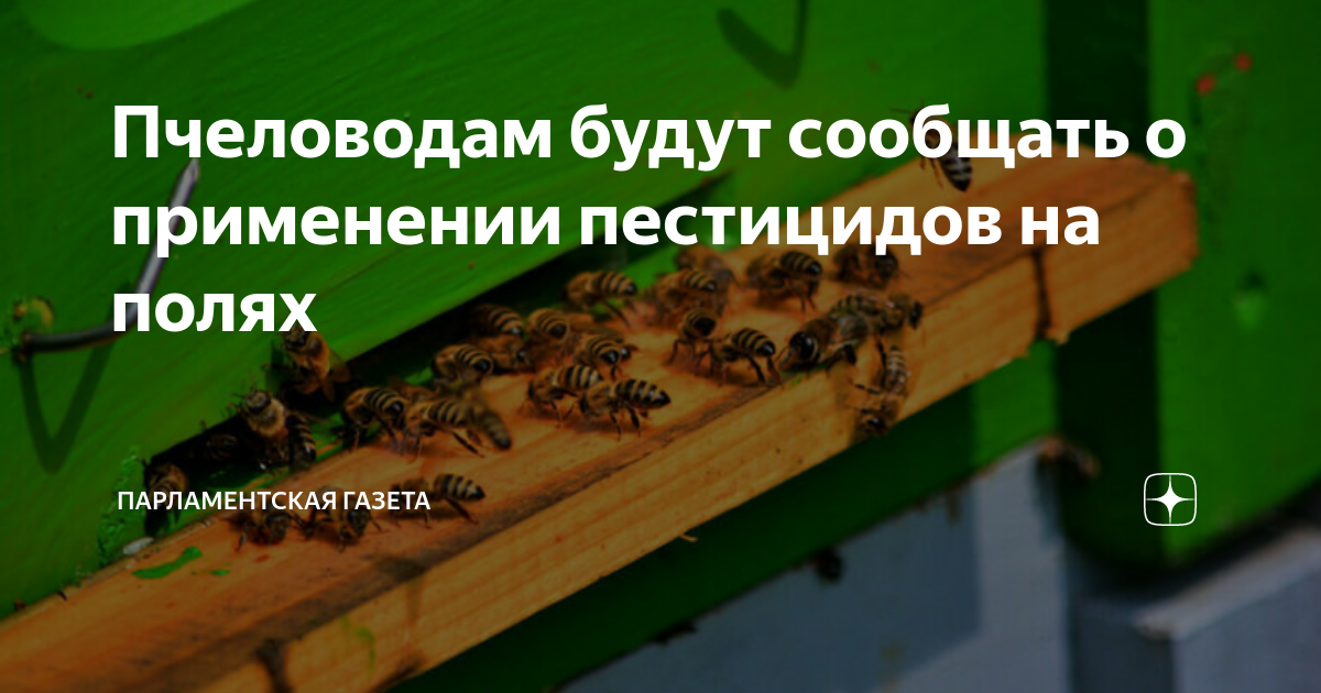 Пчеловодам будут сообщать о применении пестицидов на полях ...