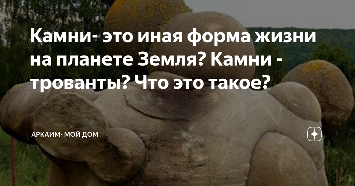 Камни- это иная форма жизни на планете Земля? Камни - трованты? Что это ...
