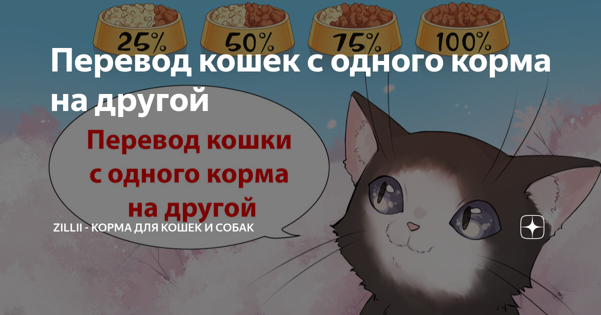 Кошечка перевод