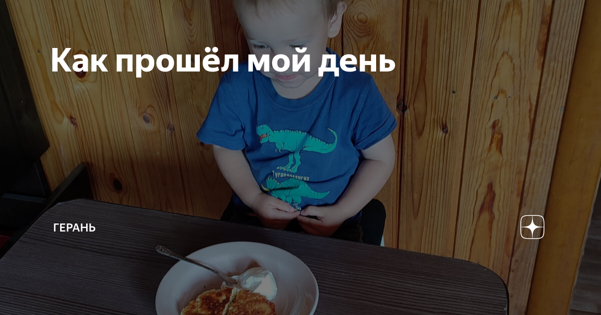 Как прошёл мой день | Герань | Дзен