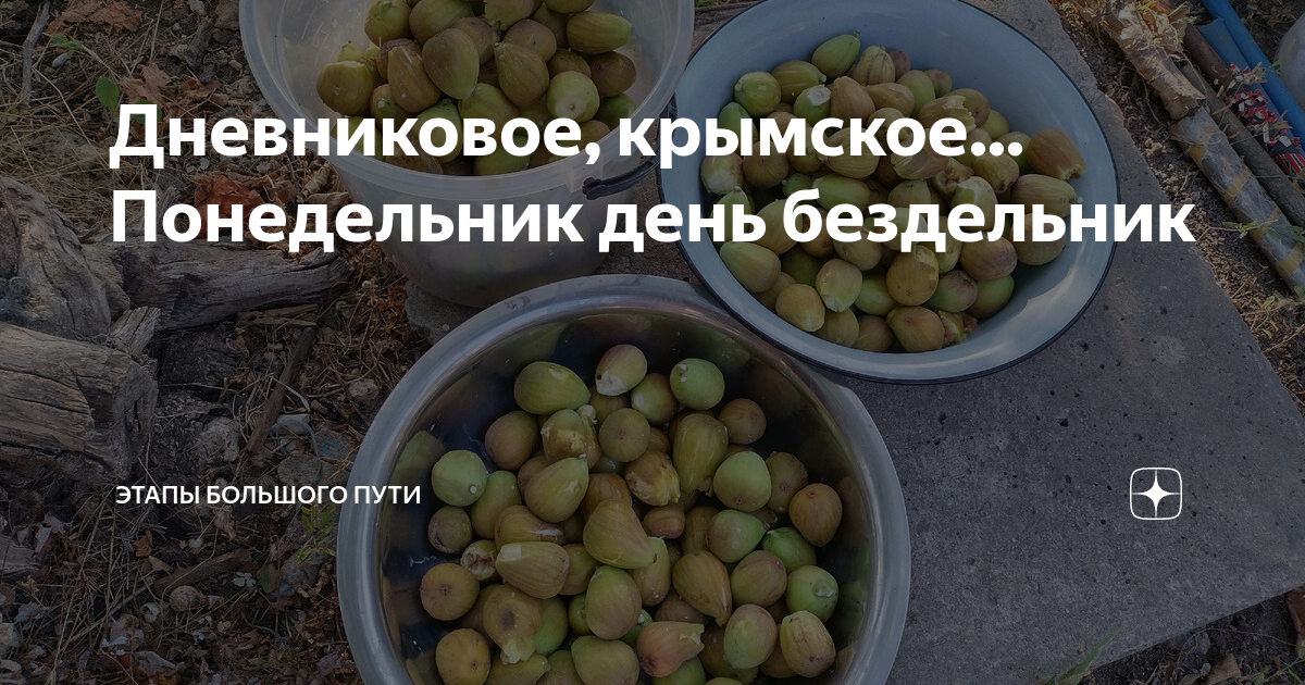 Дневниковое, крымское... Понедельник день бездельник | Этапы большого ...