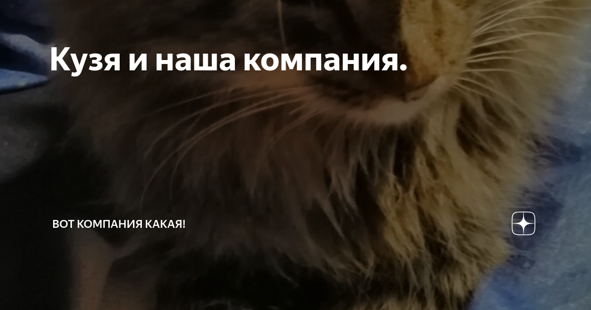 Кузя помнеш. Кузя помнеш