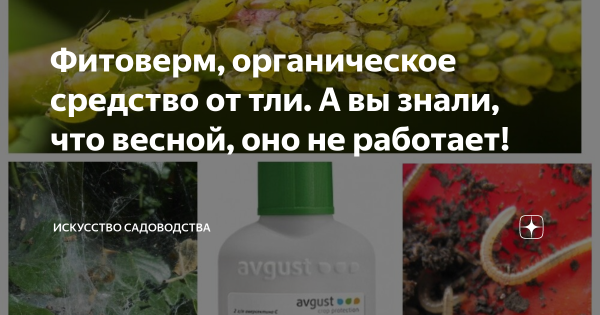 Фитоверм, органическое средство от тли. А вы знали, что весной, оно не ...