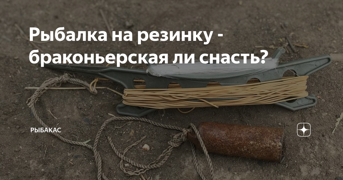 Рыбалка на резинку - браконьерская ли снасть? | Рыбалка и ихтиология | Дзен