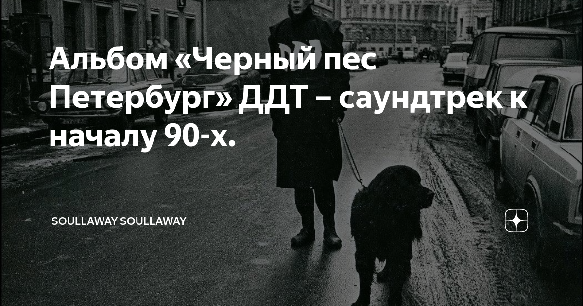 ДДТ. Черный пес Петербург. Черный пес Петербург обложка. Шевчук черный пес. Черный пес Петербург в плаще.