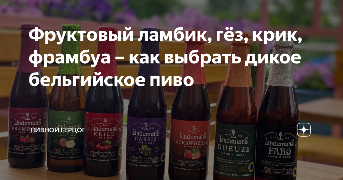 Фруктовый ламбик, гёз, крик, фрамбуа – как выбрать дикое бельгийское ...