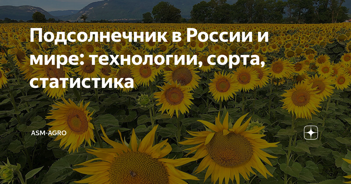 Гибрид подсолнечника и топинамбура