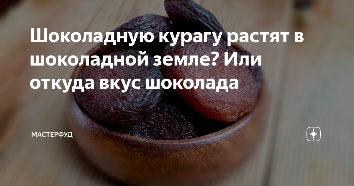 Шоколадную курагу растят в шоколадной земле? Или откуда вкус шоколада ...