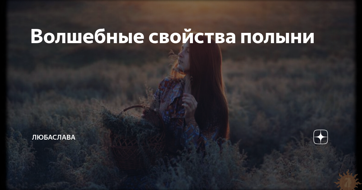 полынь в кофемолке. полынь дзен. полынь обыкновенная aureovariegata.