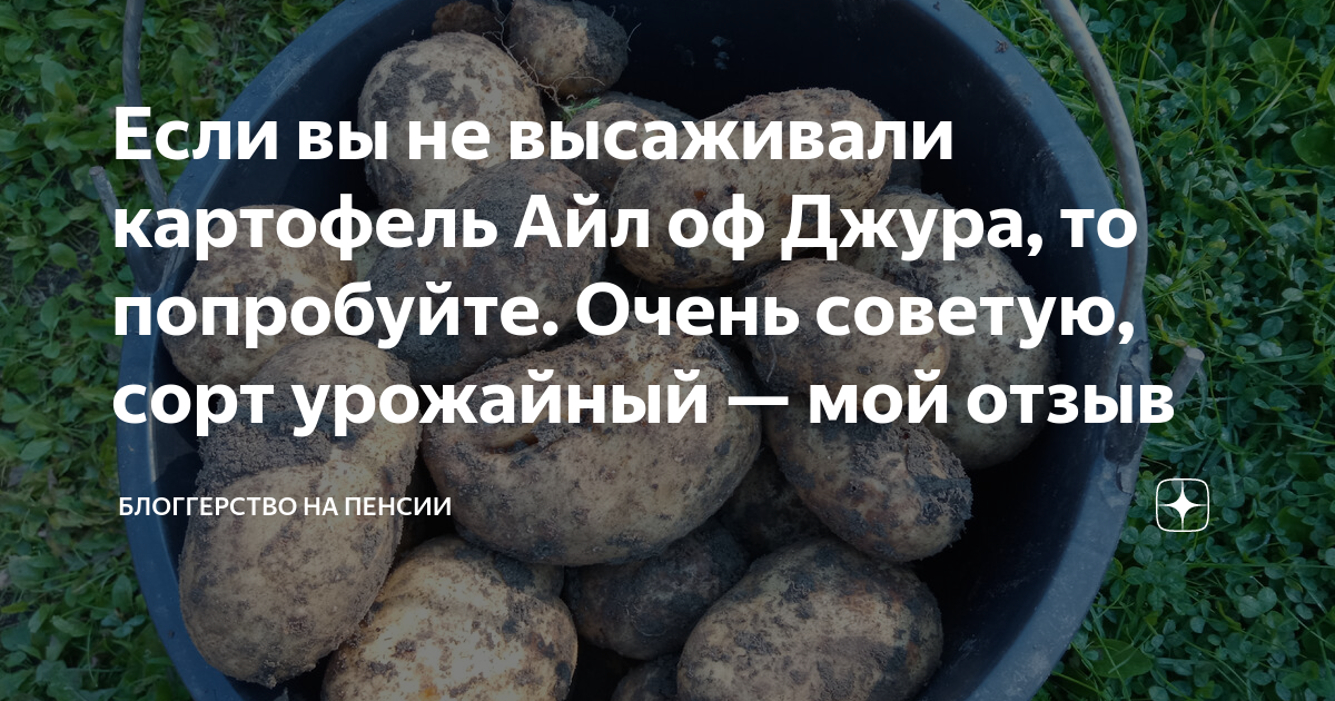 Картофель 5: найдено 81 изображений