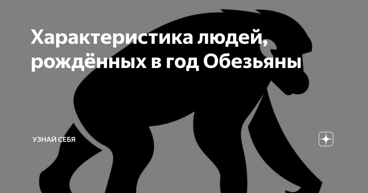 Характеристика знака зодиака обезьяна. Характеристика знака зодиака обезьяна. Характер обезьяны. Гороскоп год обезьяны. Характеристика знака зодиака обезьяна.