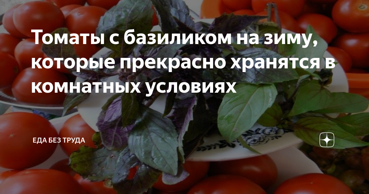 Томаты с базиликом на зиму, которые прекрасно хранятся в комнатных ...