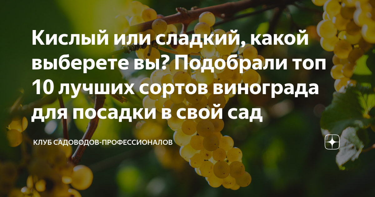 Каталог клуба садоводов