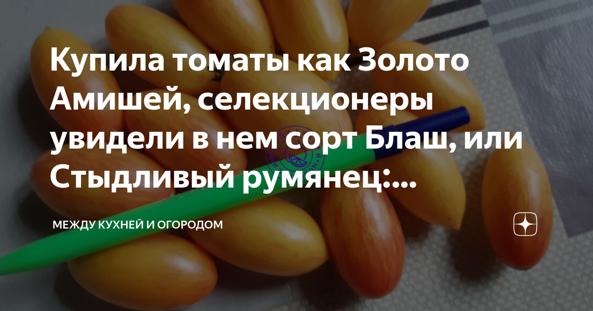 Золото амишей томат характеристика