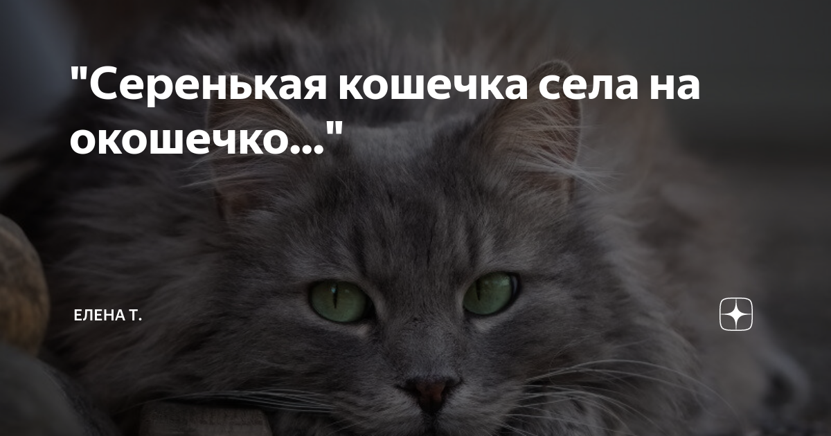 серенькая кошечка песенка. серенькая кошечка слушать. серенькая кошечка слушать. кошечка кошечка села на окошечко. стих серенькая кошечка.