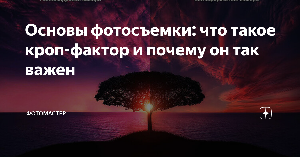 Основы фотосъемки: что такое кроп-фактор и почему он так важен ...