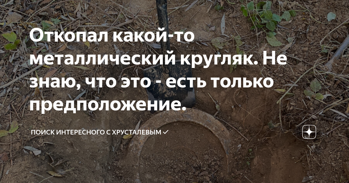 Откопал какой-то металлический кругляк. Не знаю, что это - есть только ...