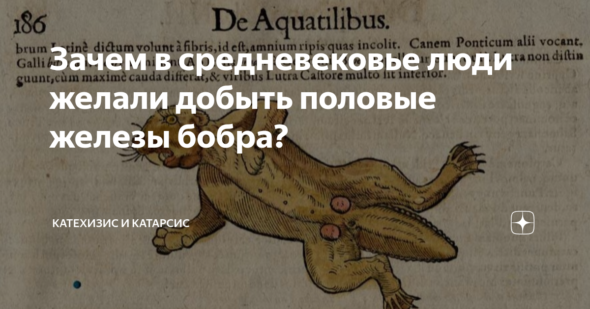Катехизис и катарсис. Катехизис и катарсис