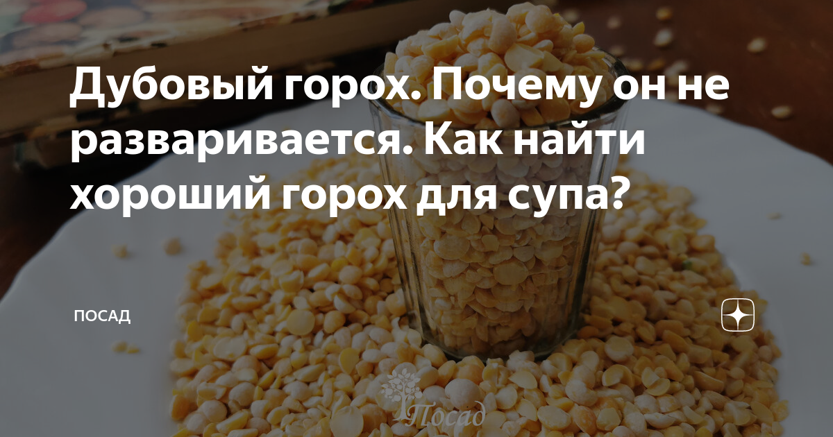 Почему не разваривается горох. Горох разваривается. почему горох не разваривается. самый хороший горох который быстро разваривается. желтая чечевица разваривается.