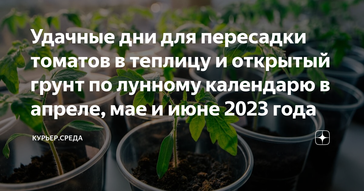 Посев томатов в 2025 году по лунному. Благоприятные дни для пересадки рассады. посадка перца на рассаду в 2025 году. когда пересаживать рассаду томатов. посадка помидор на рассаду в 2025 году.