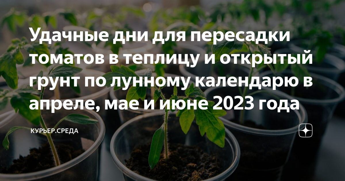 Лунный календарь на апрель 2024г пересадка томатов