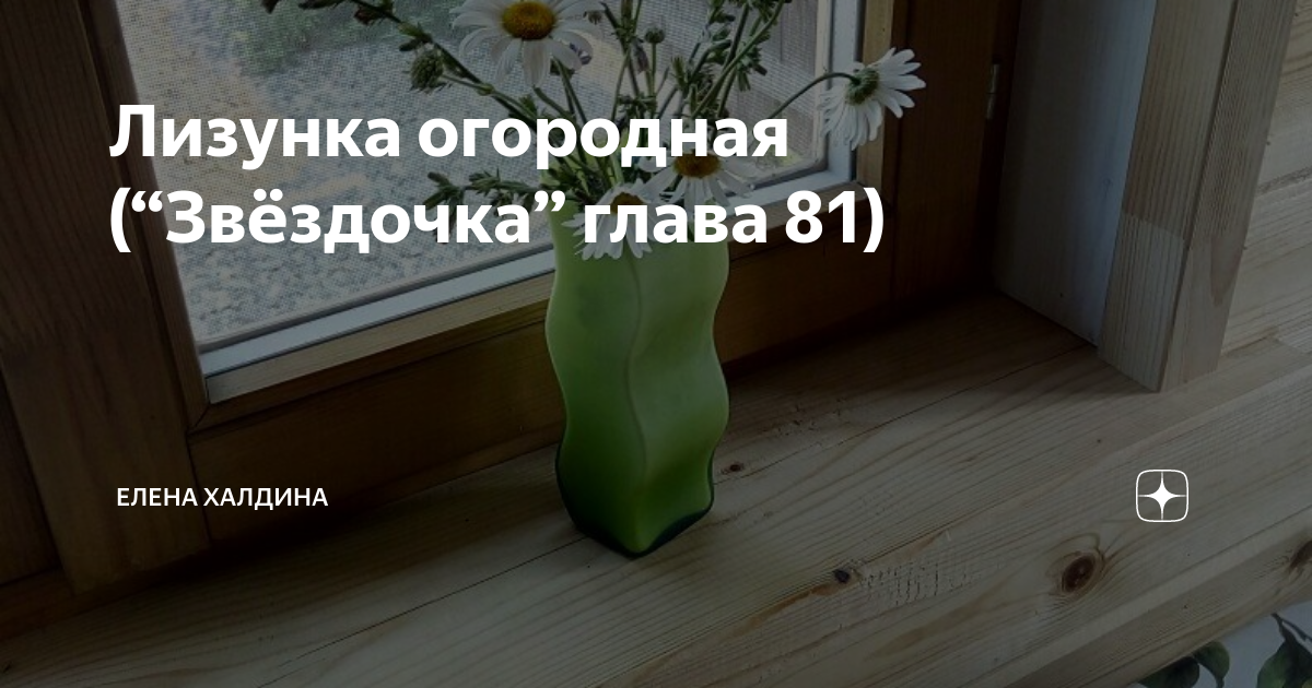 Звездочка моя халдина последняя глава сегодня читать. Елена Халдина Звездочка. Халдина Звездочка глава. Елена Халдина Звездочка глава 81. Звездочка дзен Елена Халдина