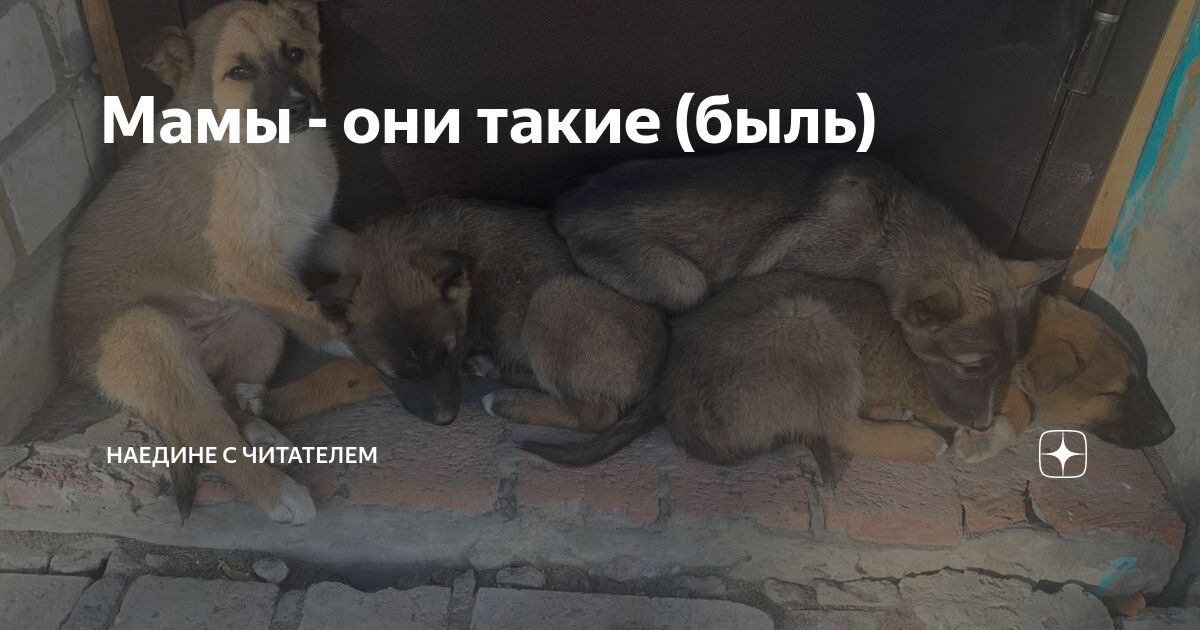 Мамы - они такие (быль) | Наедине с читателем | Дзен