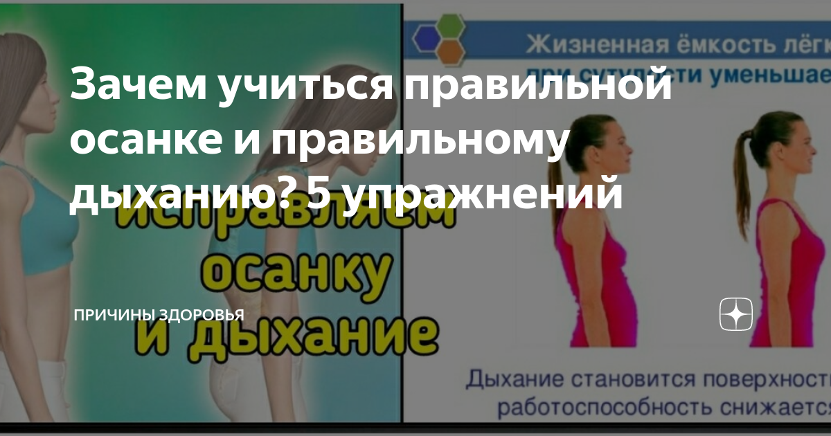 Как влияет осанка на развитие мышц секреты укрепления и привлекательного внешнего вида