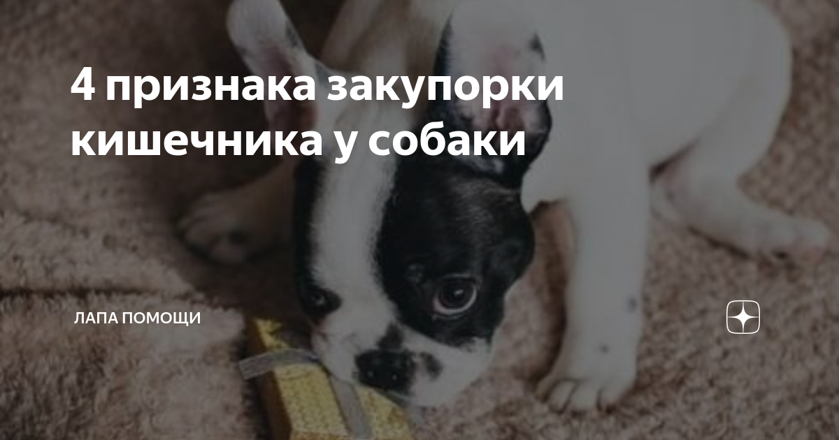 Посторонние предметы