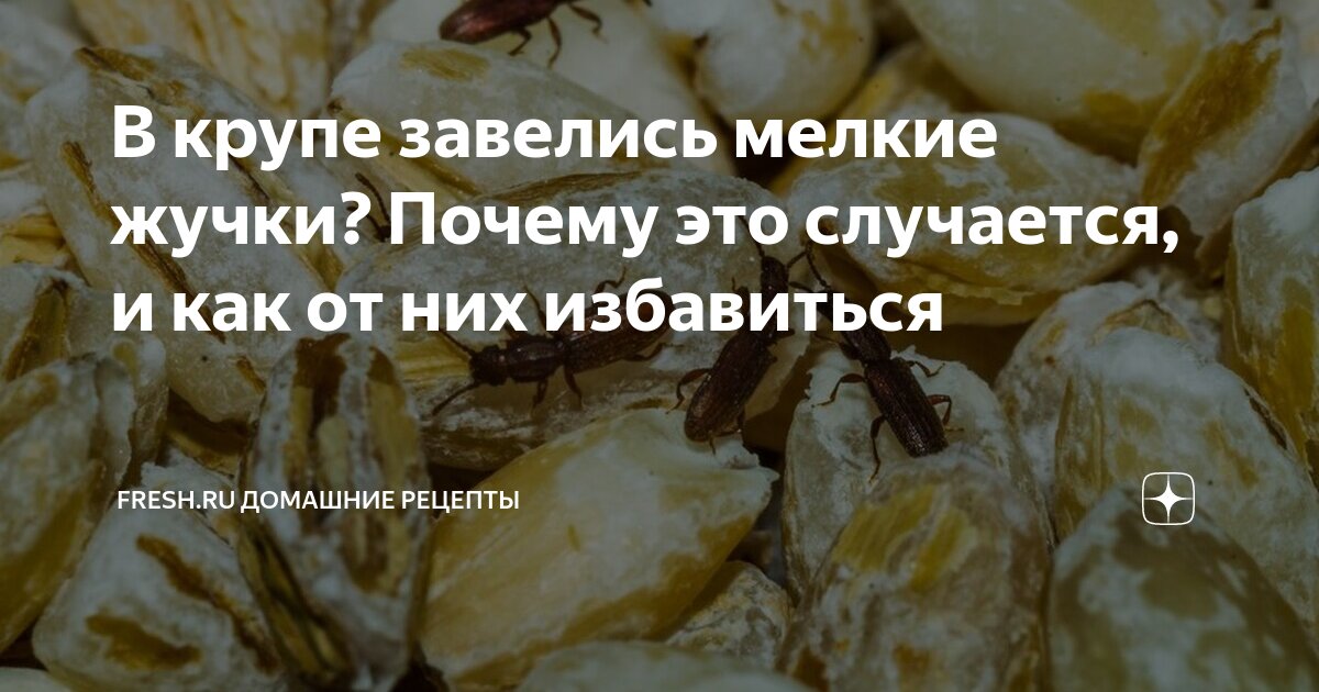 В крупе завелись мелкие жучки? Почему это случается, и как от них .