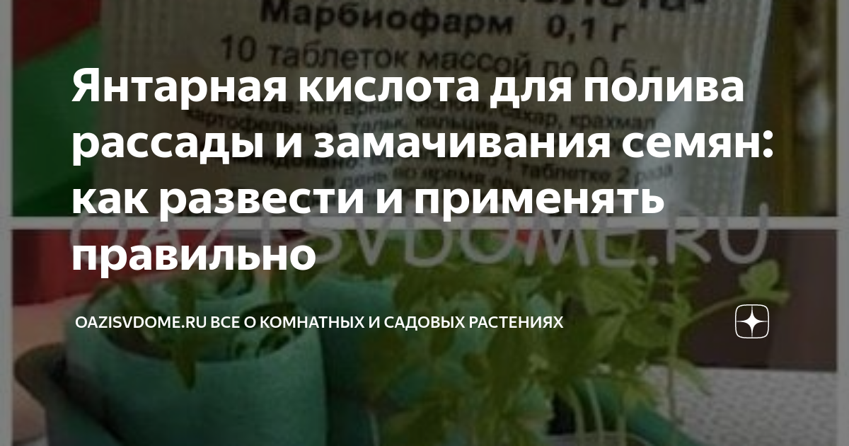 Полив рассады янтарной кислотой в таблетках. Как разводить янтарную кислоту для рассады. Полив цветов янтарной кислотой.