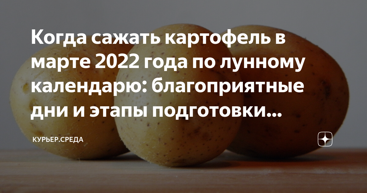 Когда сажать картофель? Сроки посадки для Подмосковья и Урала, Ленинградской области и Сибири. Лунный календарь садовода.