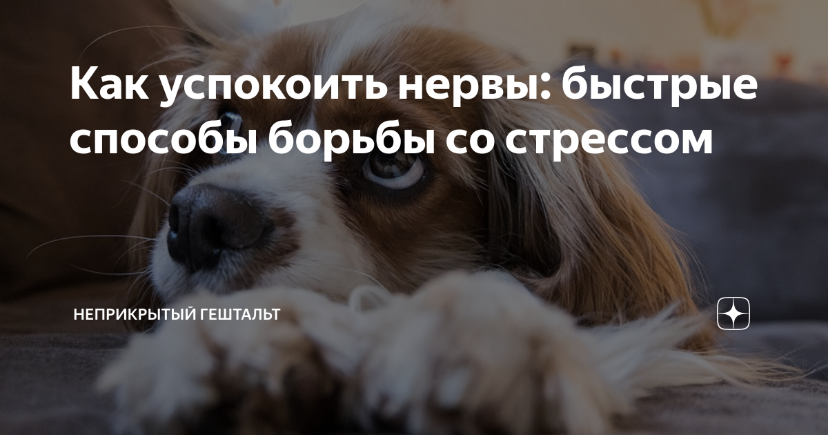 как успокоить свои нервы