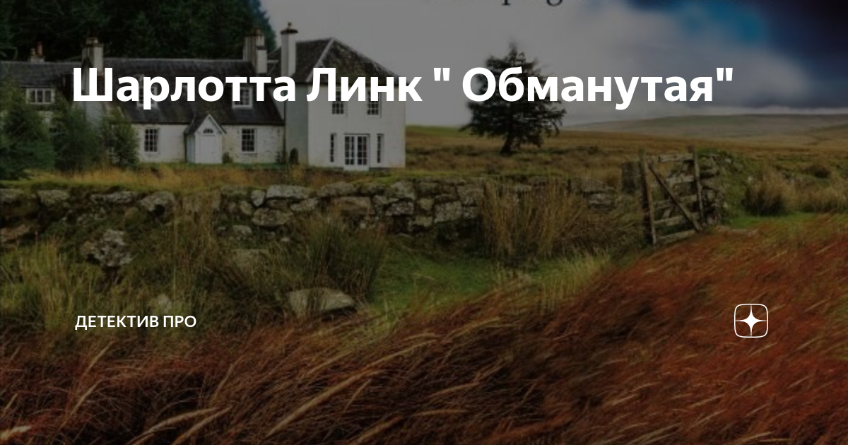 Шарлотта Линк " Обманутая" | Детектив про | Дзен