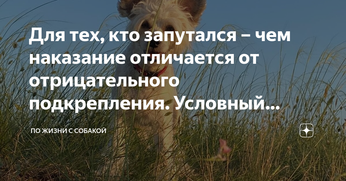 Для тех, кто запутался – чем наказание отличается от отрицательного ...