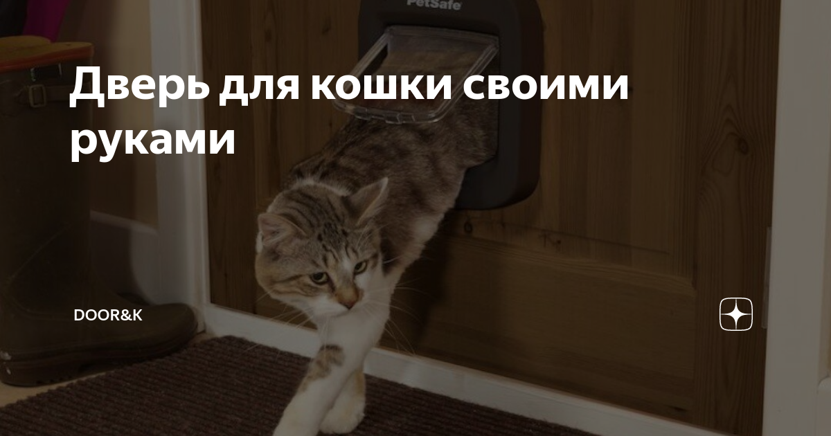 Как сделать дверь для кошки в двери своими руками? – Ремонт своими руками на sauna-ernesto.ru
