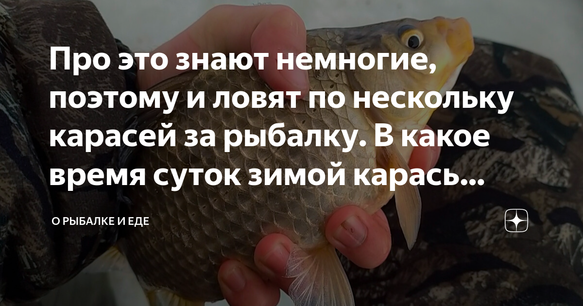 Про это знают немногие, поэтому и ловят по нескольку карасей за рыбалку ...