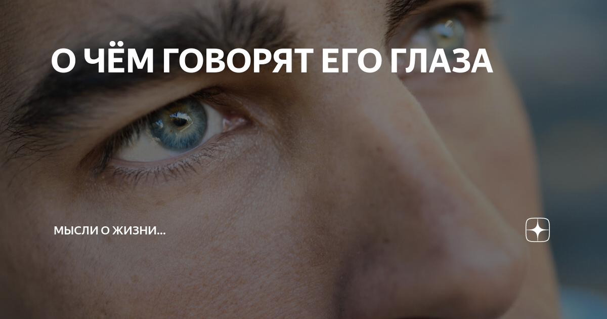 Кошачий взгляд и его значение