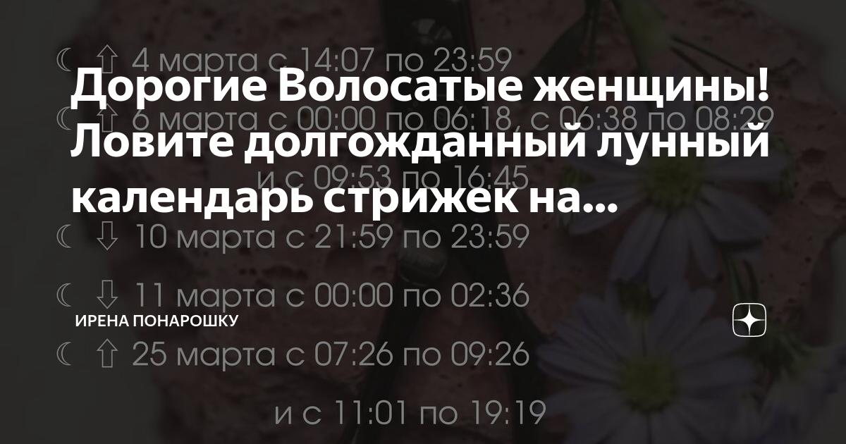 Дикие женщины: волосатые женские подмышки - последняя тенденция на Instagram (22 фото)