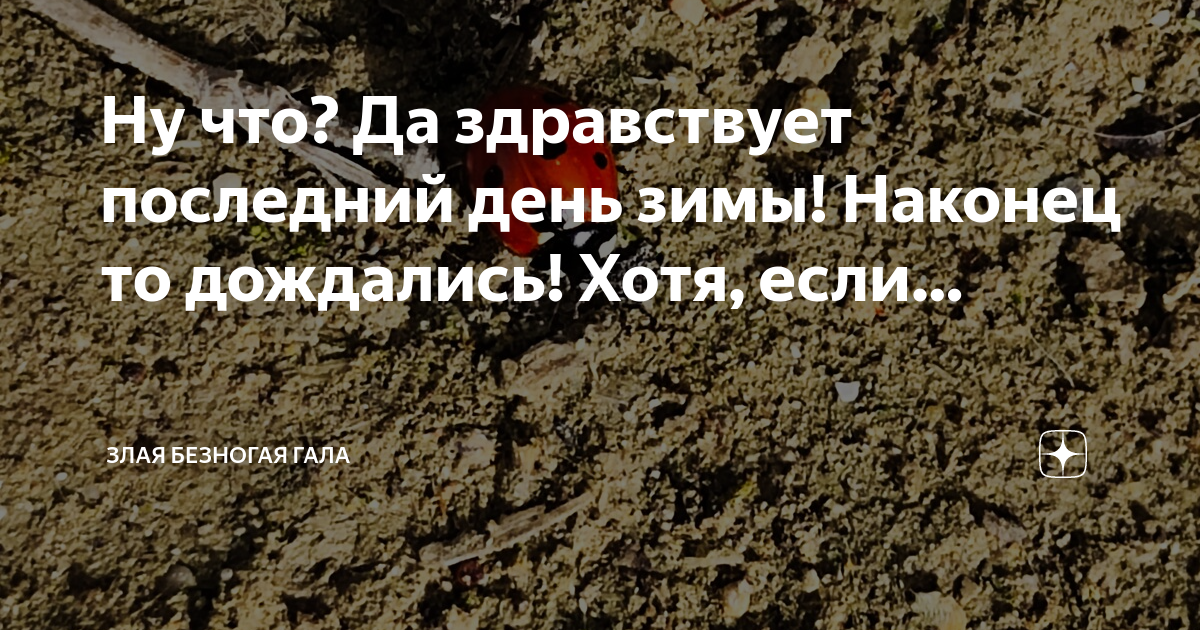 Злая безногая гала дзен Злая безногая гала дзен