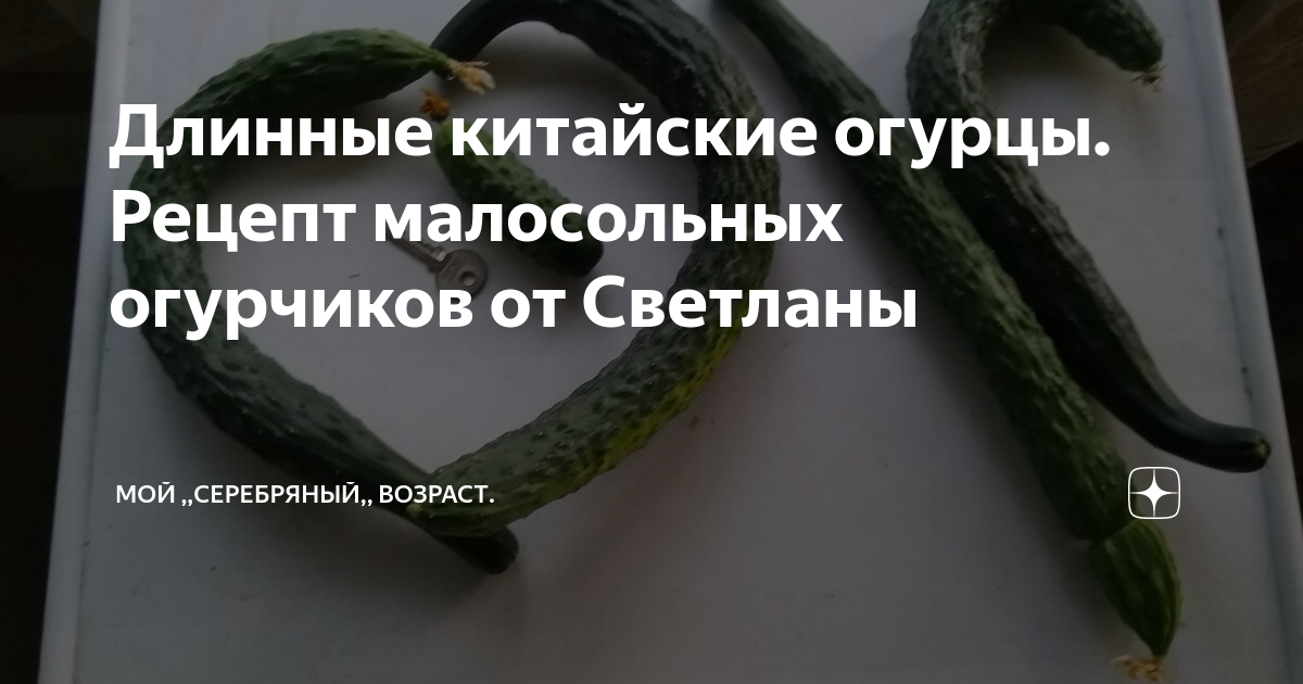 Длинные китайские огурцы. Рецепт малосольных огурчиков от Светланы ...
