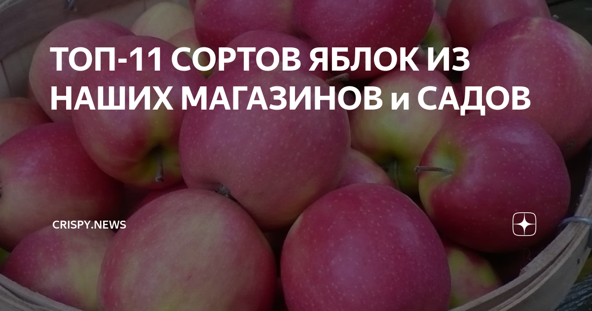 ТОП-11 СОРТОВ ЯБЛОК ИЗ НАШИХ МАГАЗИНОВ и САДОВ | Crispy.news | Дзен