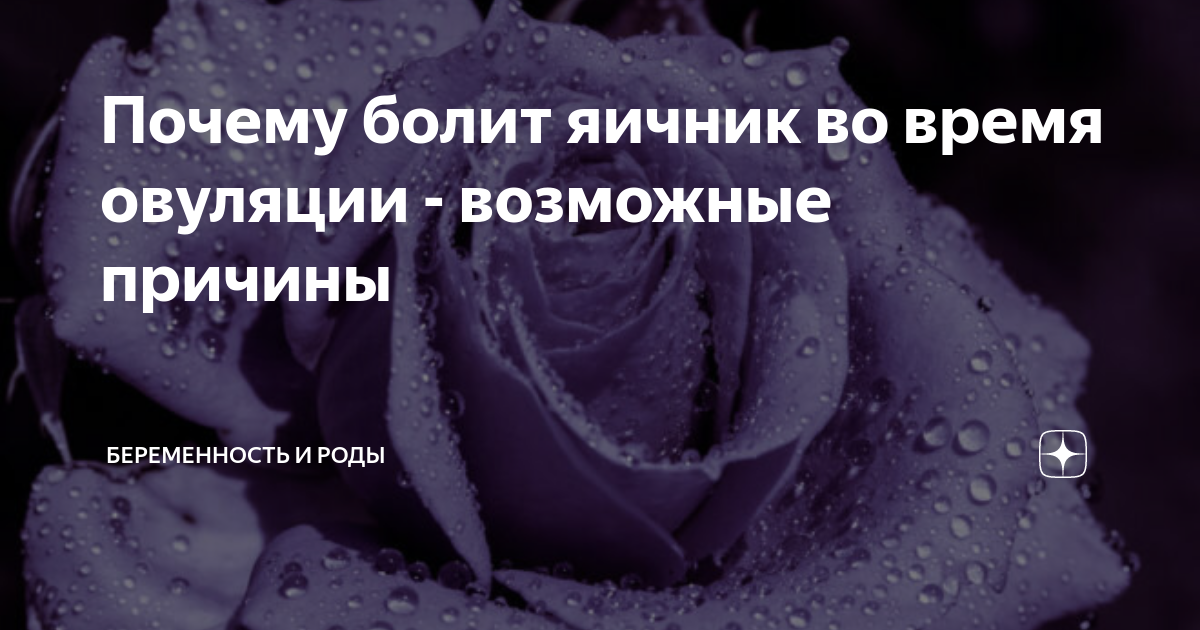 Почему болят яичники во время овуляции: научное объяснение и способы облегчить дискомфорт