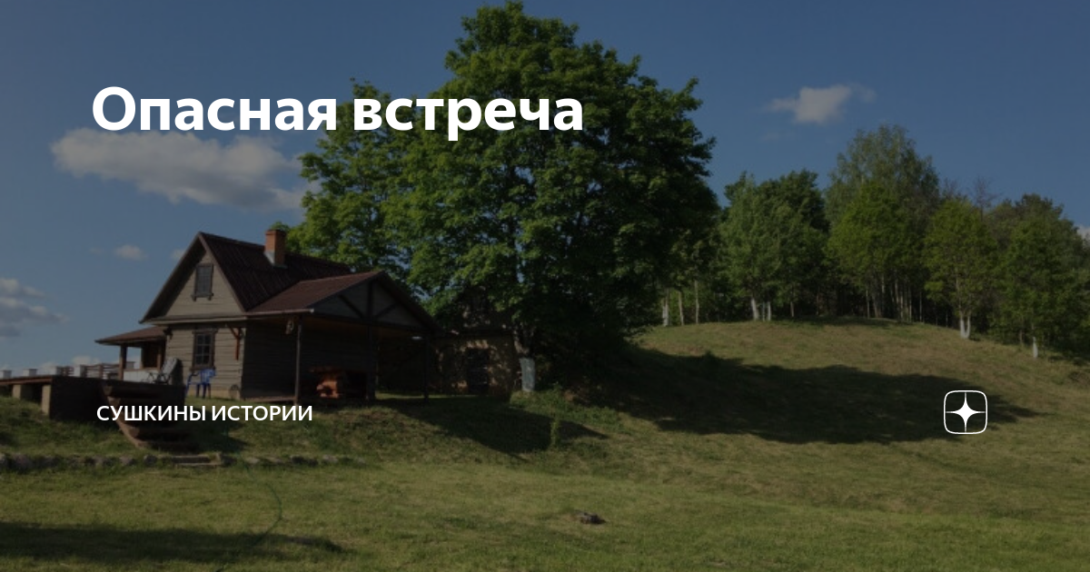 Лидия дзен рассказ. Жизненные истории дзен рассказы. Сушкины истории дзен рассказы читать. Сушкины истории дзен рассказы читать. Сушкины истории дзен рассказы читать.