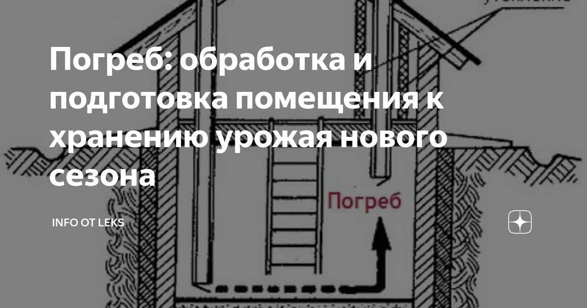 Можно ли хранить чеснок в подвале и погребе зимой до нового урожая?