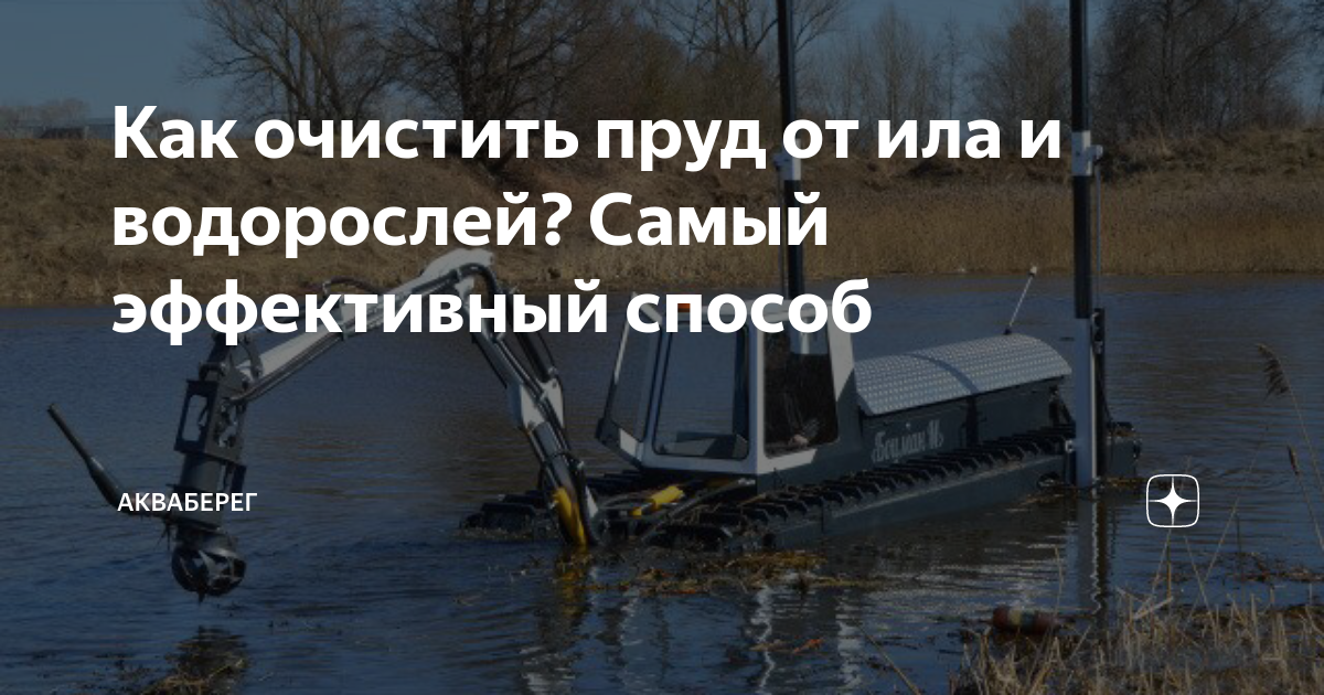 Зачем нужно чистить водоемы